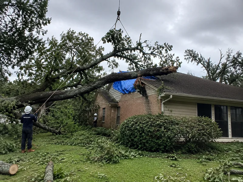 Emergency tree removal of a storm-fallen oak on a Houston home