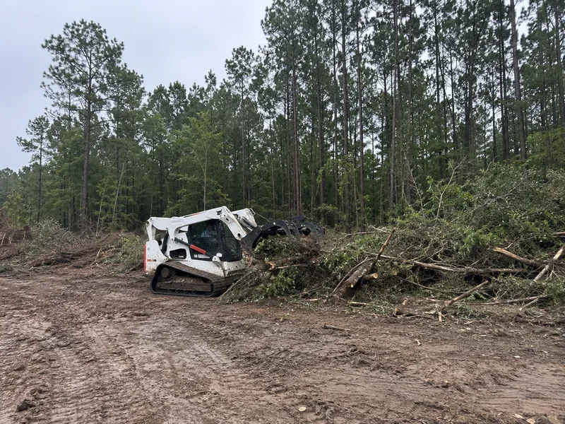 Skid steer clearing brush and trees from a Houston lot