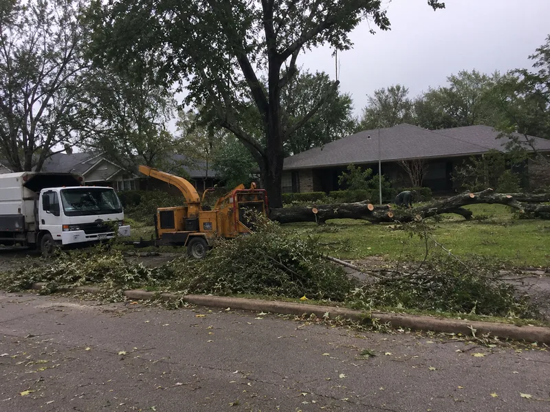 Crew clearing storm-fallen tree debris in a Houston yard